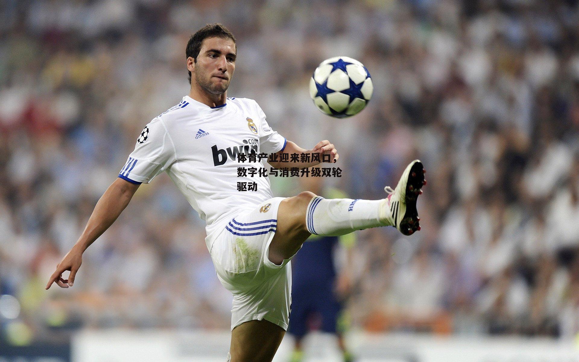 体育产业迎来新风口,数字化与消费升级双轮驱动